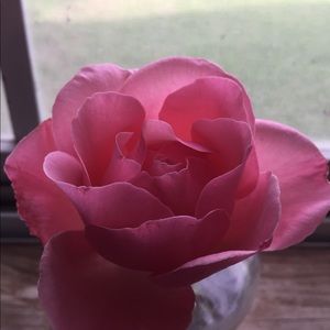 Meet your Posher, Ruth